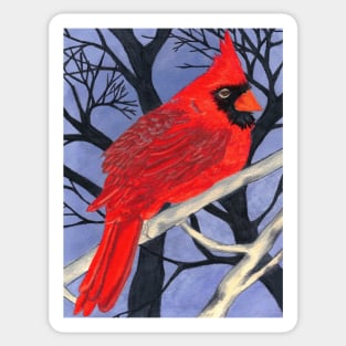 Winter Cardinal Sticker